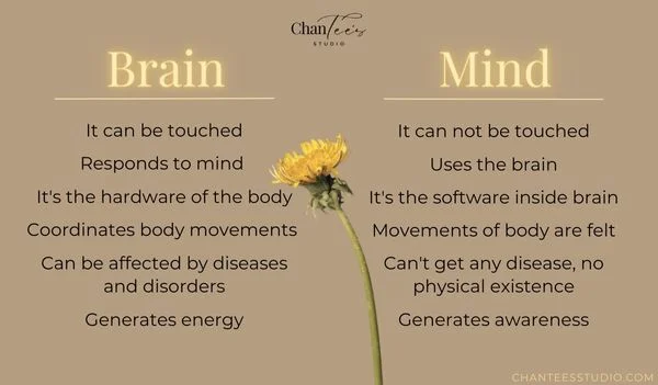Brain vs Mind