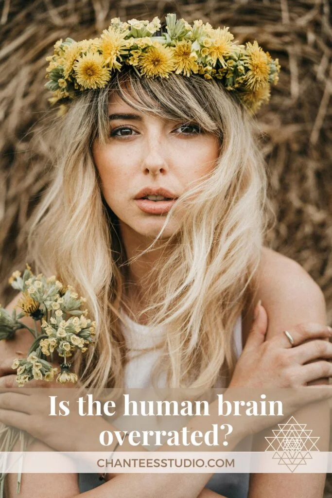 Overrated Human Brain Mental Health