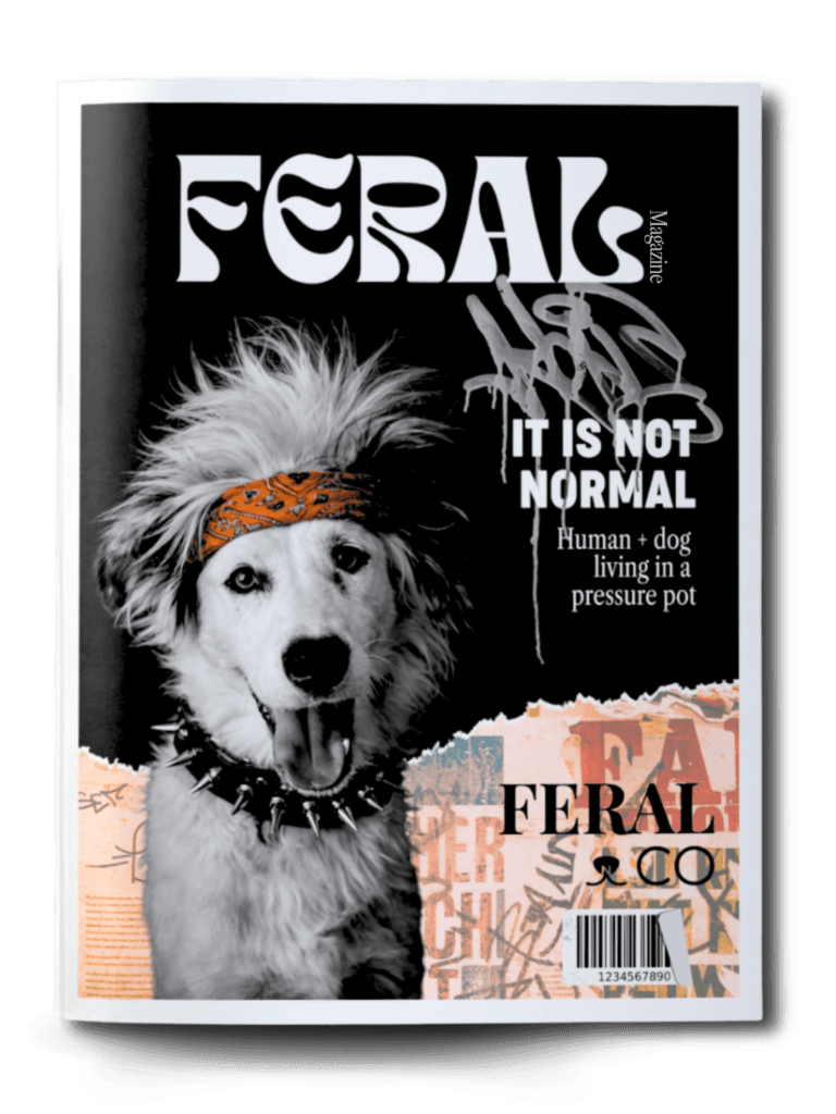 Feral Magazine